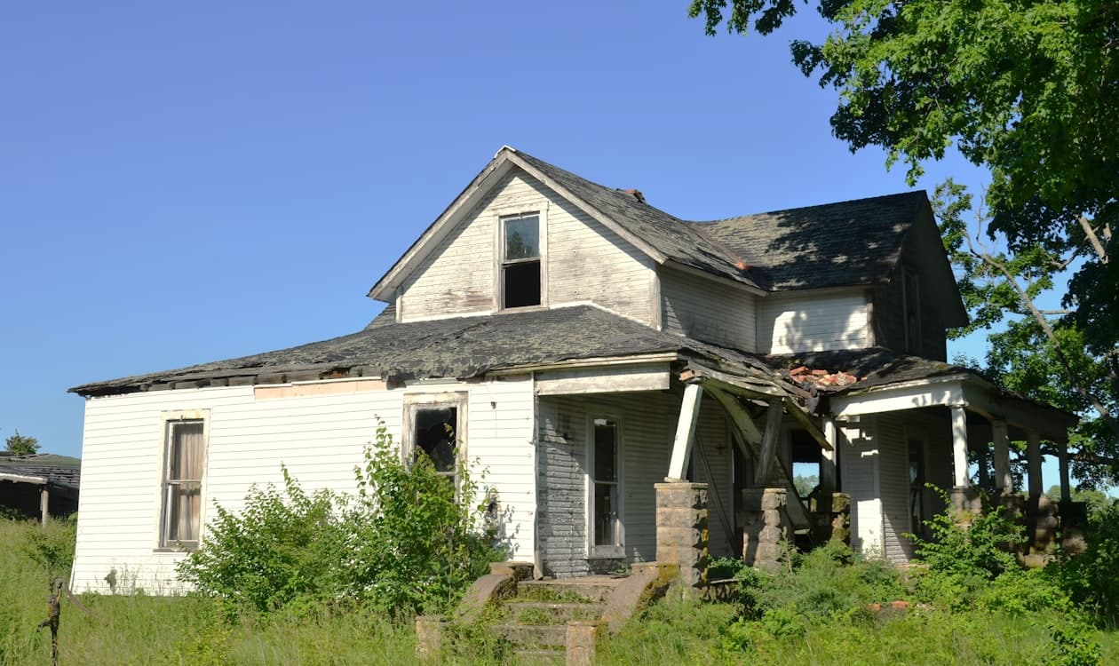 Neglected lawn before treatment