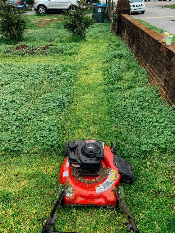 Freshly mowed and maintained lawn after Beast treatment