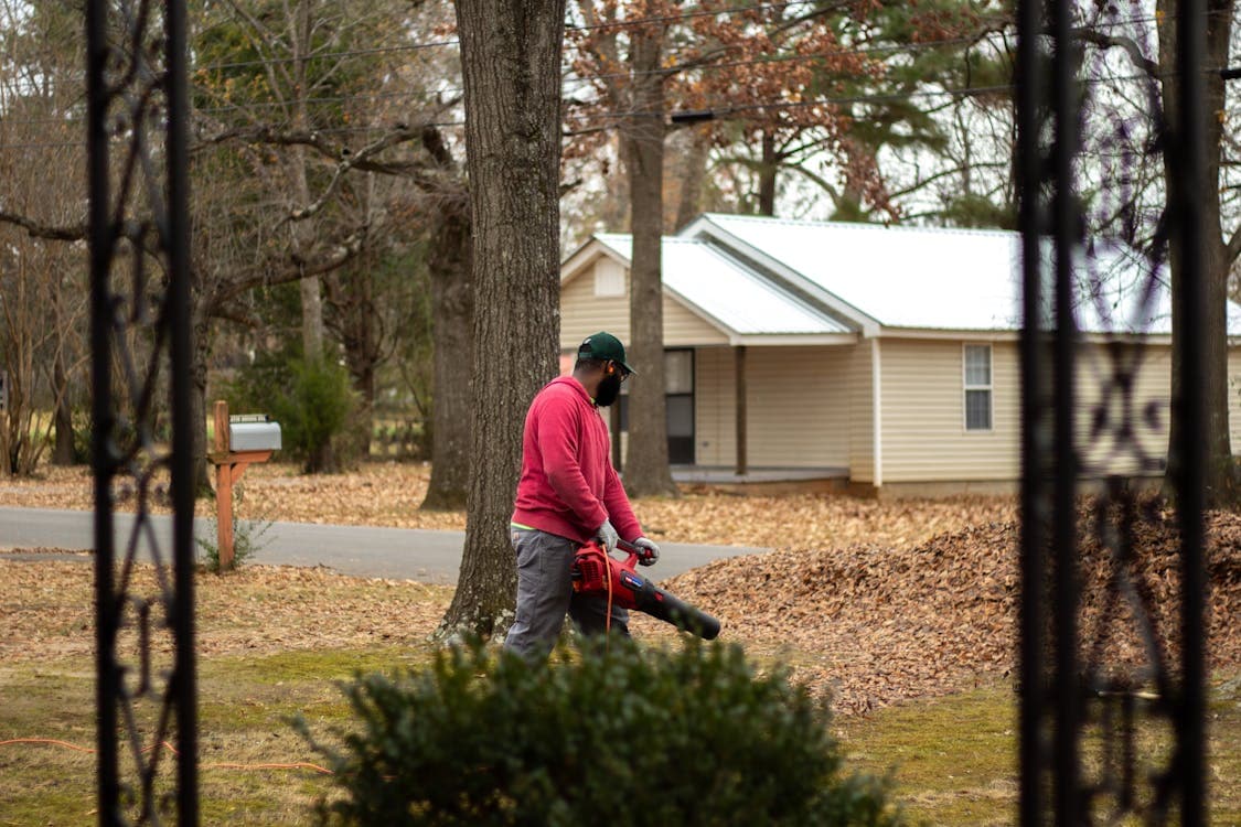 Full Yard Cleanup